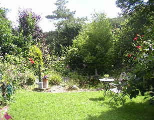 Naturteich