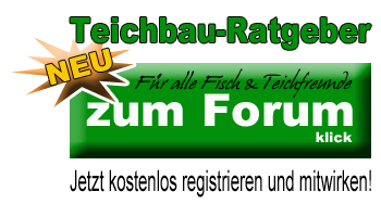 Teichbau Ratgeber