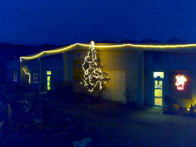 Tannenbaum beleuchtet