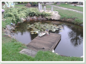 Gartenteich vorm restaurieren